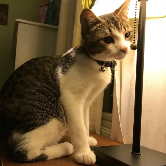 Meet your Posher, Erin - Picture 1 of 1